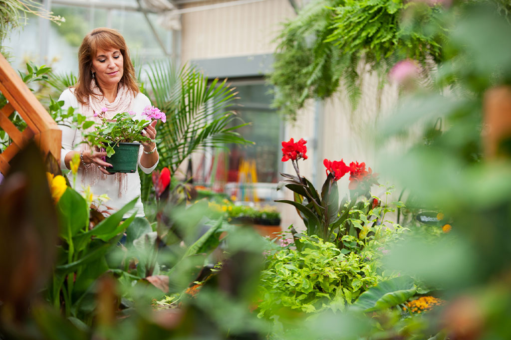 Woman going through separation in her 50s holding plant in colourful garden with blurred foreground